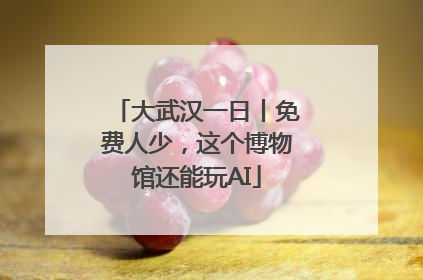 大武汉一日丨免费人少，这个博物馆还能玩AI